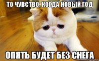 то чувство, когда Новый год опять будет без снега