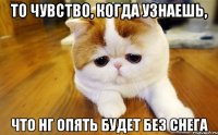 то чувство, когда узнаешь, что НГ опять будет без снега