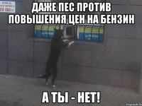 Даже пес против повышения цен на бензин А ты - нет!