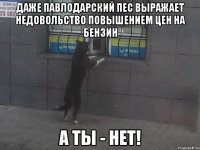 Даже павлодарский пес выражает недовольство повышением цен на бензин А ты - нет!