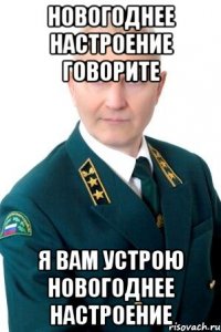 Новогоднее настроение говорите Я вам устрою новогоднее настроение