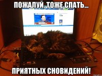 пожалуй, тоже спать... приятных сновидений!