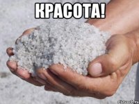 красота! 