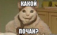 Какой Почан?