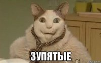  ЗУПЯТЫЕ
