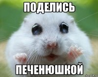 поделись печенюшкой