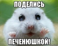 поделись печенюшкой!