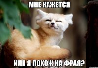 Мне кажется или я похож на Фрая?