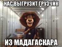 нас выгрузит грузчик из мадагаскара