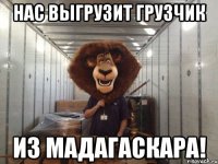 нас выгрузит грузчик из мадагаскара!