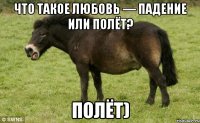Что такое любовь — падение или полёт? полёт)