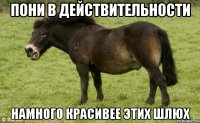 Пони в действительности Намного красивее этих шлюх