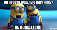 Он просит пошлую картинку? Не дождется!!!