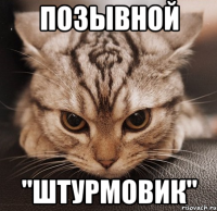 позывной "штурмовик"