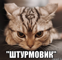  "штурмовик"