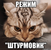 режим "штурмовик"