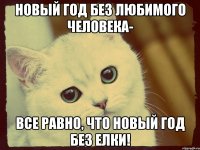 новый год без любимого человека- все равно, что новый год без елки!