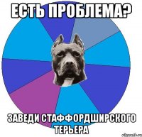 есть проблема? заведи стаффордширского терьера