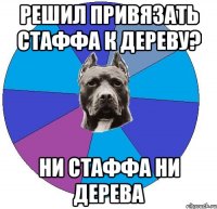 решил привязать стаффа к дереву? ни стаффа ни дерева