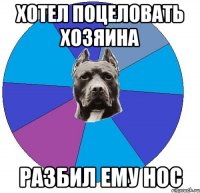 хотел поцеловать хозяина разбил ему нос