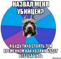 назвал меня убийцей? я буду тихо стоять,тем временнем как хозяин будет все ебашить