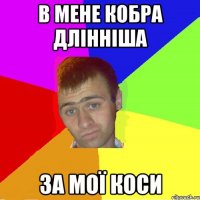 в мене кобра длінніша за мої коси
