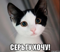  серьгу хочу!
