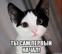  ты сам первый начал!