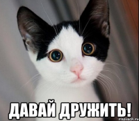  давай дружить!