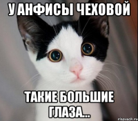 у анфисы чеховой такие большие глаза...