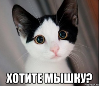  хотите мышку?