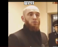 шучу 