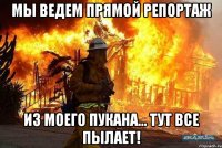 Мы ведем прямой репортаж из моего пукана... Тут все пылает!
