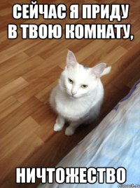 Сейчас я приду в твою комнату, ничтожество