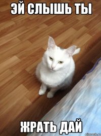 эй слышь ты жрать дай