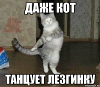 даже кот танцует лезгинку