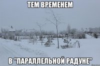 тем временем в "параллельной радуне"