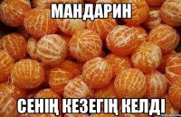 МАНДАРИН СЕНІҢ КЕЗЕГІҢ КЕЛДІ