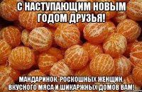 С наступающим новым годом друзья! Мандаринок, роскошных женщин, вкусного мяса и шикаржных домов вам!
