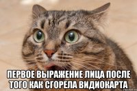  Первое выражение лица после того как сгорела видиокарта