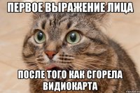 Первое выражение лица после того как сгорела видиокарта