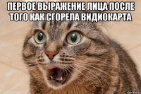 Первое выражение лица после того как сгорела видиокарта 