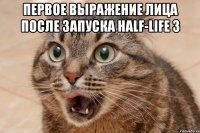 Первое выражение лица после запуска Half-Life 3 
