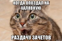 когда опоздал на халявную раздачу зачетов
