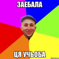 Заебала ця учьоба