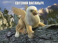 Евгений Ваганыч 