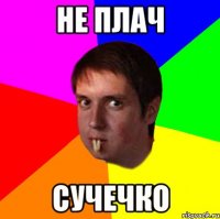не плач сучечко