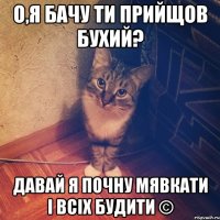 О,я бачу ти прийщов бухий? Давай я почну мявкати і всіх будити ©