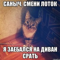 САНЫЧ, СМЕНИ ЛОТОК Я ЗАЕБАЛСЯ НА ДИВАН СРАТЬ