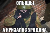 Слышь! А кризалис уродина.